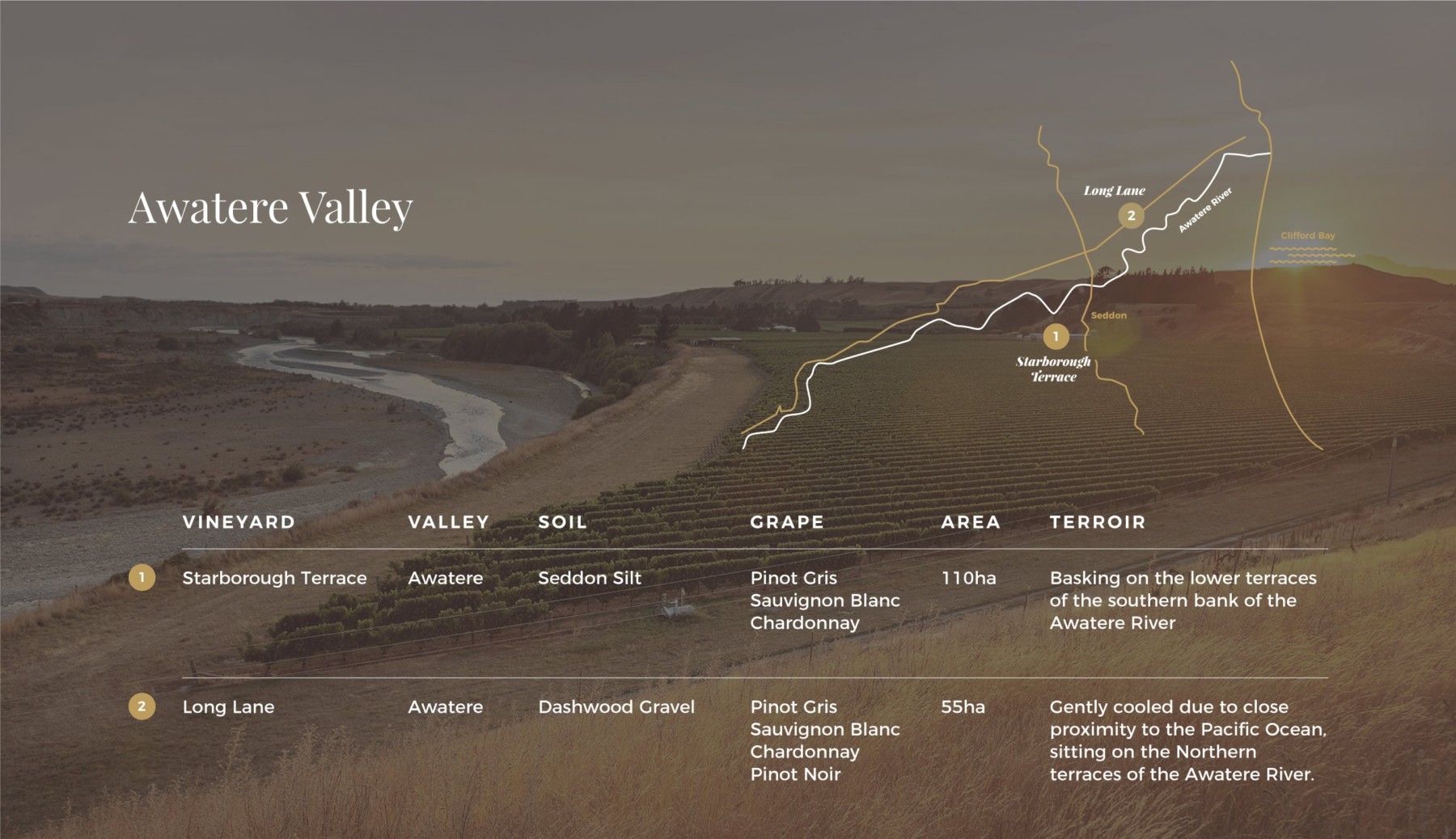 Map of Awatere Valley over laid on image of vines near river