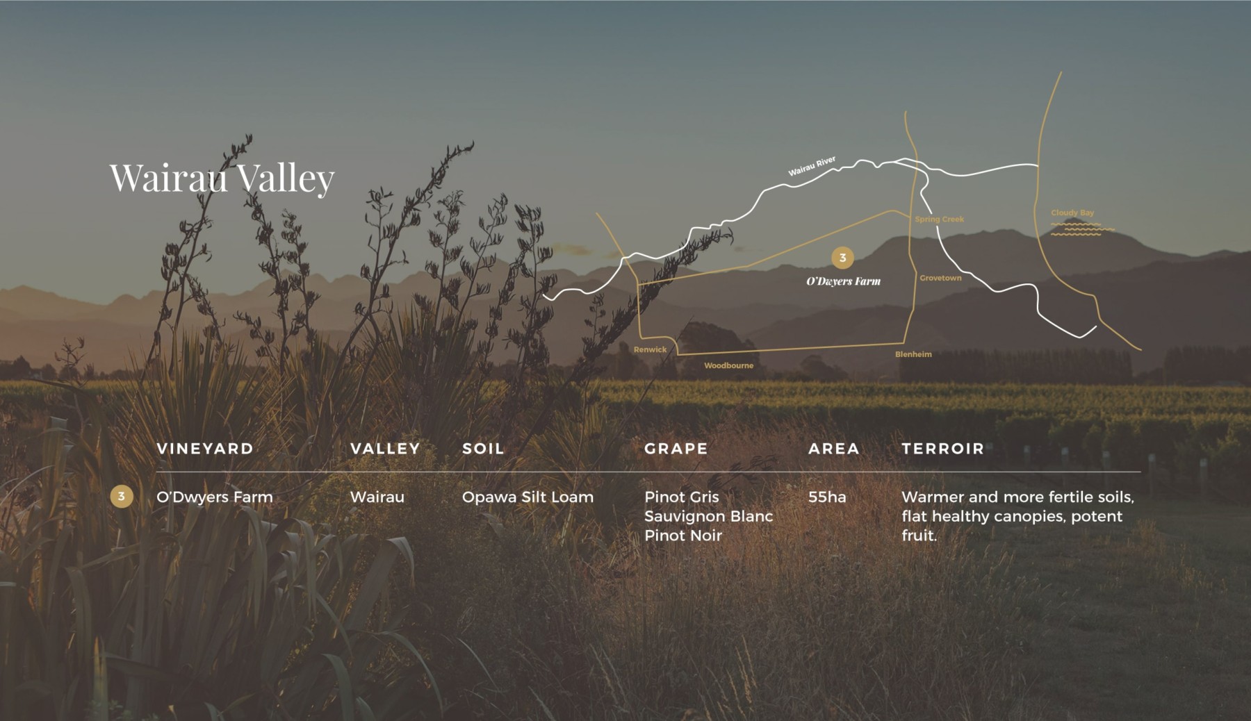Map of Wairau Valley over laid on image of flax flowers in front of vines and Richmond Ranges at dusk