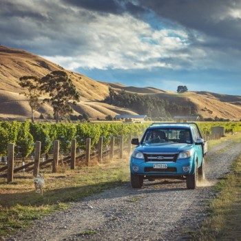 4W drive on gravel road in vineyard