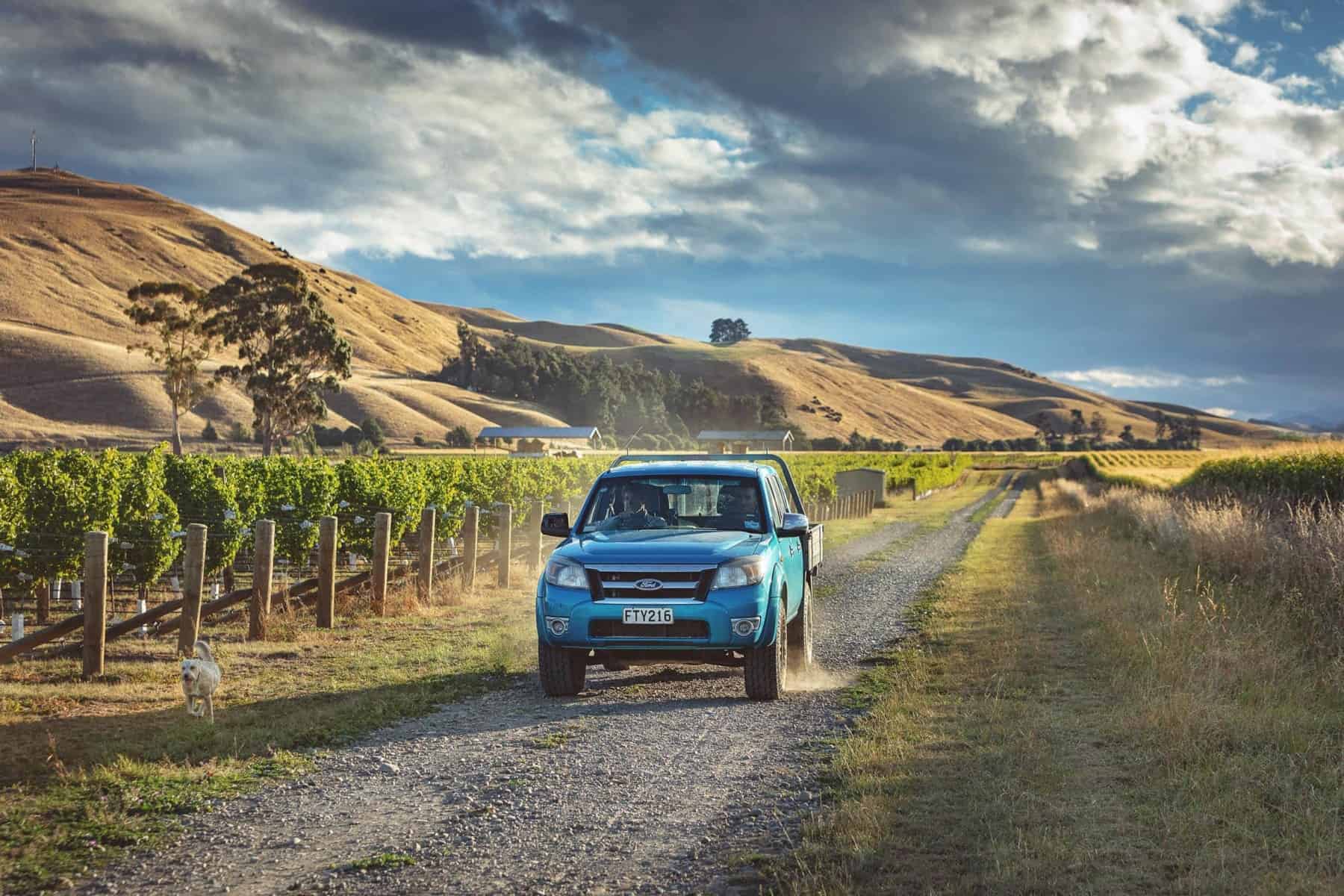 4W drive on gravel road in vineyard